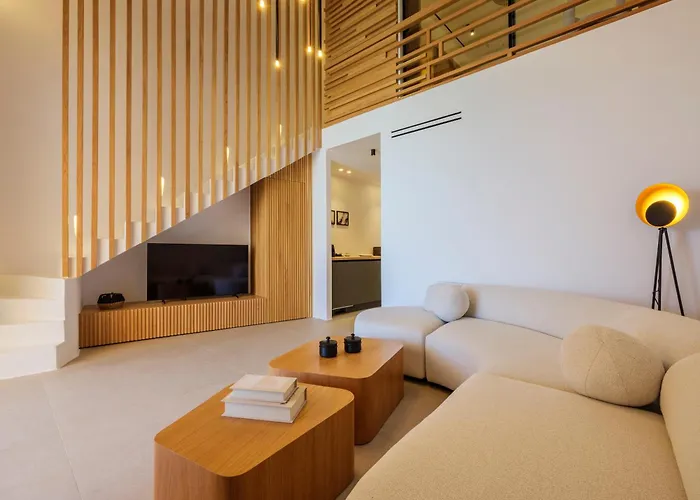 酒店 Panormos Bay Collection 帕诺尔莫斯米科诺斯